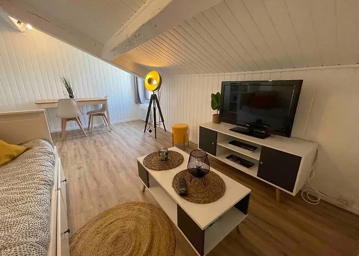 Apartman Cosy, En Centre, Proche Gare, Vue Degagee *